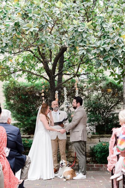 Bride and groom saying their vows at Chateau Bellevue under the magnolia tree.