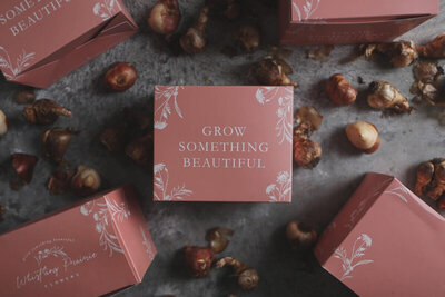 Flower Farm bulb packaging design for Whistling Prairie Flowers