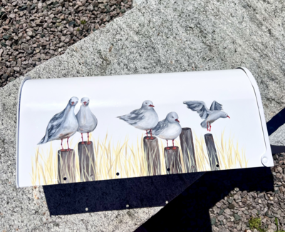 Birds1