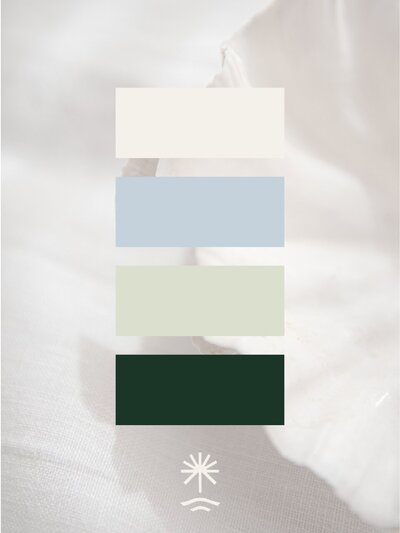 Brand color palette for MPR Ministries with four swatches in ivory, coastal blue, soft sage, and deep forest green displayed over a light shell-textured background.
