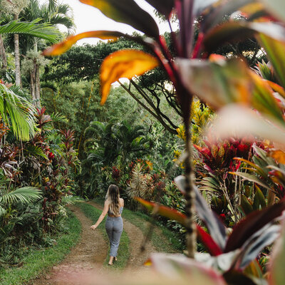 A person walking down a small path in a tropical forest
