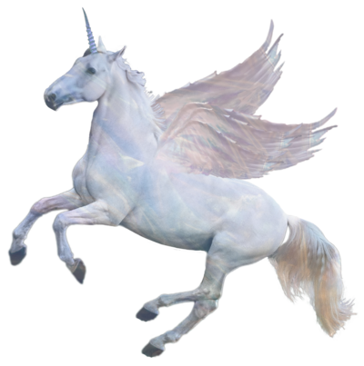 Flying White Unicorn Representing Animal Communication Course
