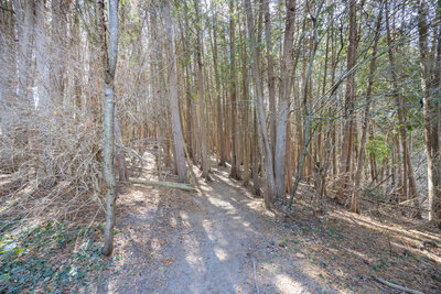 24 Worthington ravine (2)