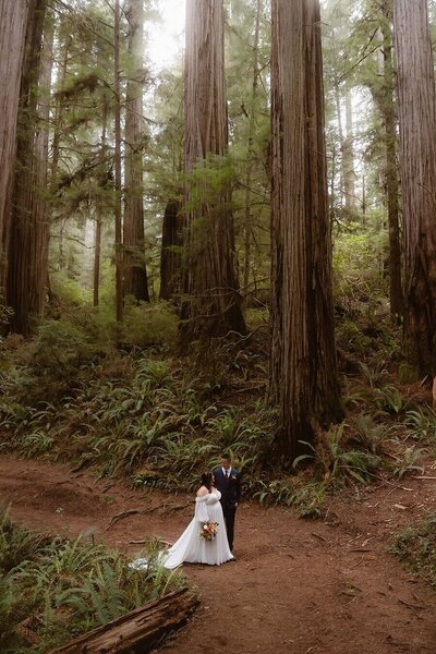 A bride and groom stand together on a dirt path in the middle of a redwood forest. Trees rise high above them, surrounded by ferns and lush greenery. The bride holds a bouquet of flowers and looks at the groom, creating an intimate moment in nature.