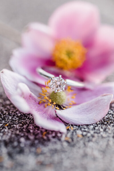 shauni_isaac_engaged-2376