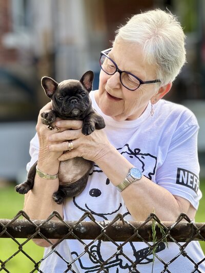 French Bulldog Puppy raised with care and early socialization in Montreal