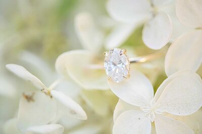 wadsworth engagement rings on flowers