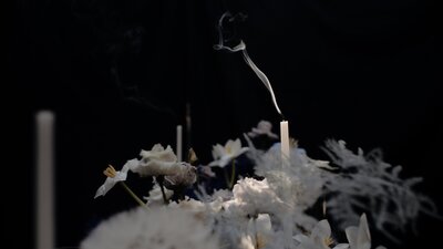 Oranjerie Sandenburg bruiloft videograaf