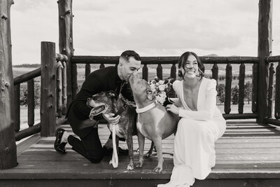 Bride and groom share candid moment with dogs at Spruce Mountain Ranch wedding in Colorado