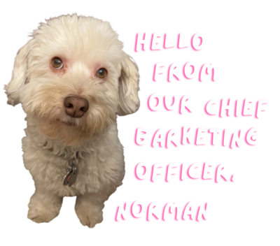 a cutout of Mara's dog, Norman, who is a small, white, havanese mix breed, with the text "Hello from our Chief Barketing Officer, Norman"