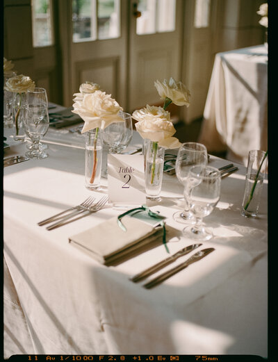 Elegant bride in a flowing gown poses confidently in front of a sunlit window during her wedding portraits