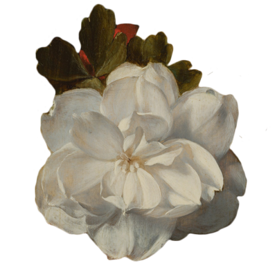 Flower3