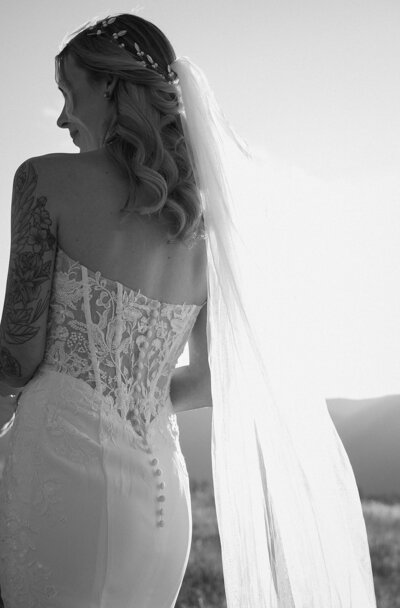 bride's dress and veil with the Colorado mountains in the background on the wedding day