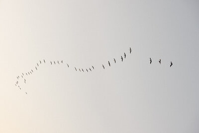 MomentsWithM-134