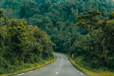 Entrance road into Nyungwe Forest National Park