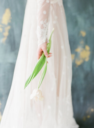 Bride holding tulip, blue backdrop