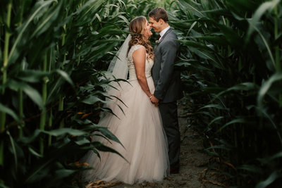 Swans Trail Farms wedding venue in the corn stalks