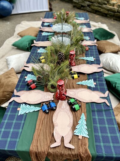 Luxury white picnic set up outdoors