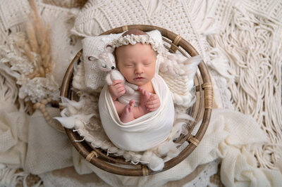 newborn baby girl wrapped in cream holding her foot and a fawn lovey for her Burlington, Ontario newborn photos.