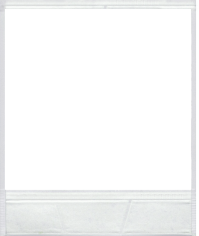 polaroid frame