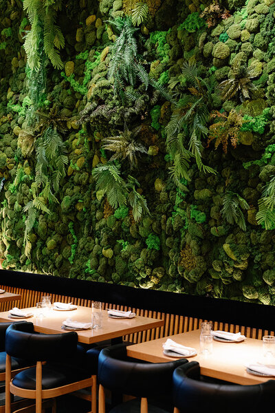 Mylo Fontainebleau 2.01.2024 (52 of 146)