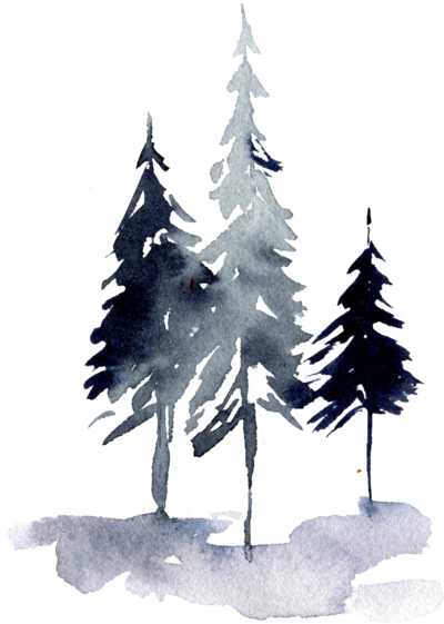Watercolor Blue  and Grey Pine Trees