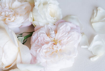 oink flowers