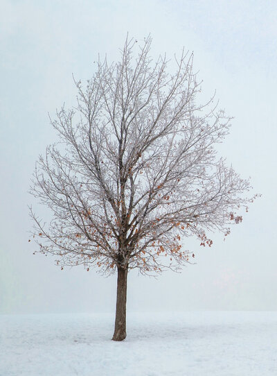 seasons4