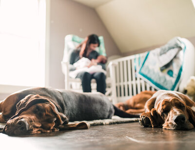 baby in rocking chair with sleeping dogs in front on the floor.