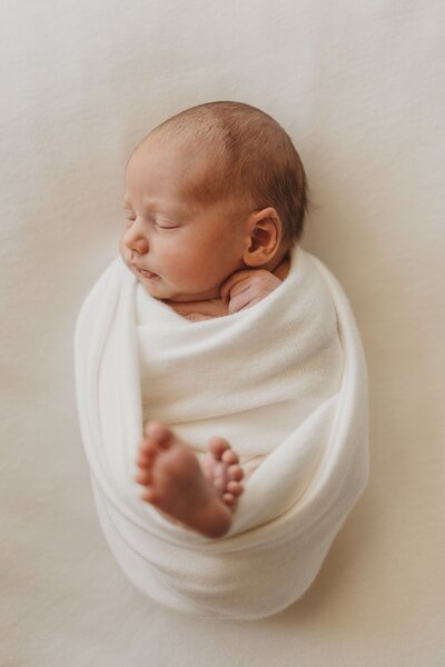 a newborn baby posing in dads hands during a newborn photoshoot in wanaka captured by Bie