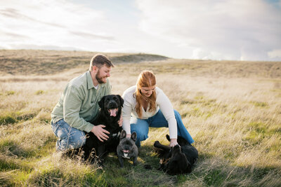 Field engagement photos with dogs