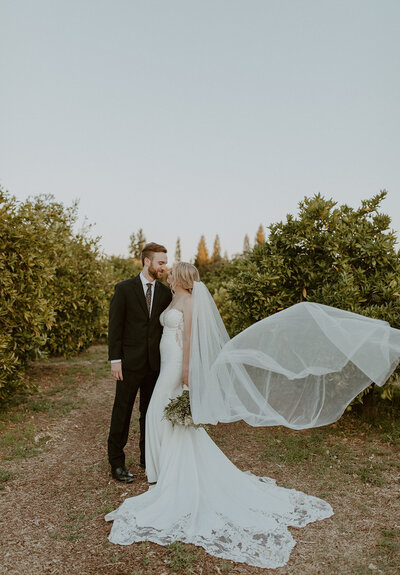 bride and groom photos in a vineyard