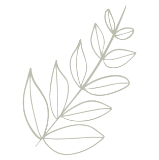 icon-_Angle Leaf-Light Sage
