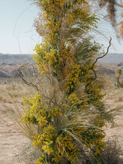 Bush | Nicole Chapman Design