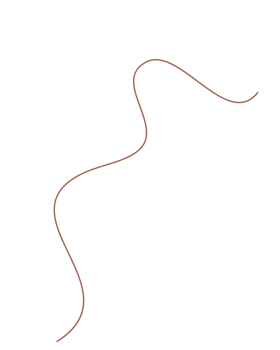 Ligne décorative