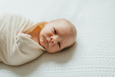 Boston newborn photographer 