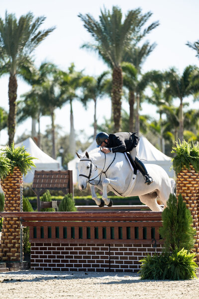 Unbridled MediaAAM_8917