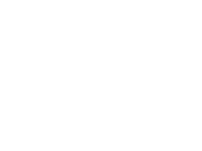 Rose-1-White
