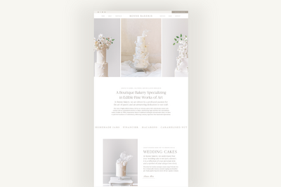 Website mockup.