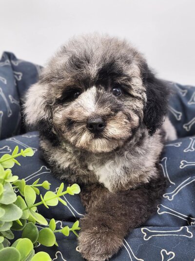 1ff0ca07-4c62-4852-9b3d-a4853142e170