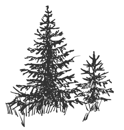 illustration of two trees