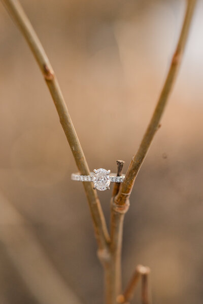 Tina and Kody reel-11