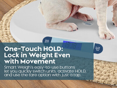 3A-SmartWeigh_Digital_Baby_Scale