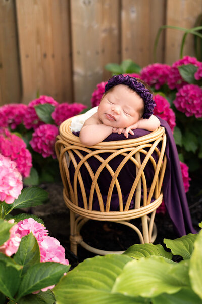 Newborn girl sleeping in a boho basket surrounded by pink outdoor flowers at her outdoor newborn Toronto Photography session.