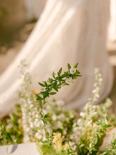 Basking in the golden glow of a citrus summer at the iconic Bahia Resort in San Diego, I had the absolute pleasure of capturing a scene of serene elegance. Tucked away in a secluded tropical garden, a charming pergola set the stage for beautifully arranged florals and meticulously styled table settings—a true mid-century retreat infused with modern whimsy. Every detail, from the vibrant citrus accents to the delicate blossoms, spoke of timeless sophistication and effortless charm. 