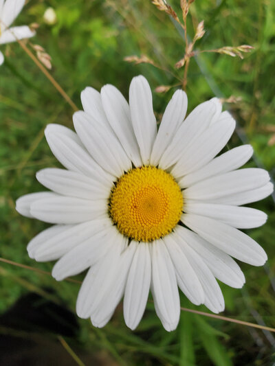 Jen Burghart Reiki 0010607_073826