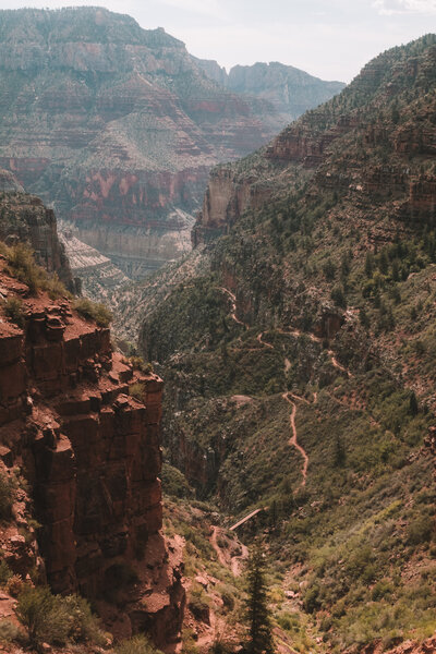 Grand Canyon trail