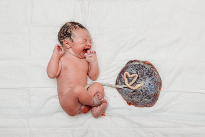 newborn infant with placenta after a home birth in traverse city