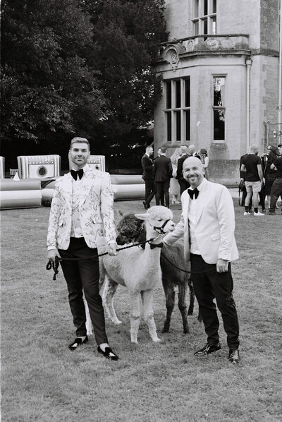 Groom portrait at Tortworth Court, Cotswold wedding venue