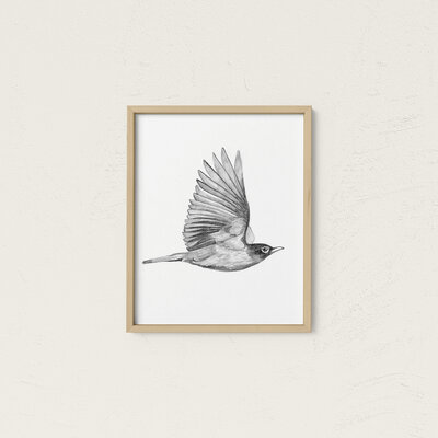 Shop | Nature Inspired Products & Artwork by Rebekah Lowell
